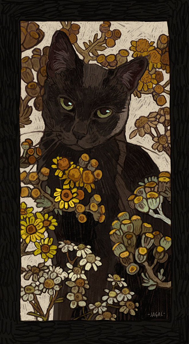 sneezewort yarrow and silver ragwort