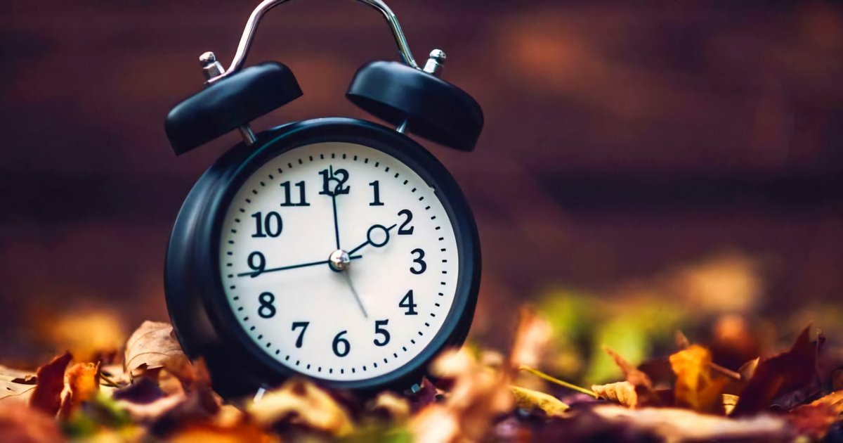 JONATHAN MARK Vocalist tweet media