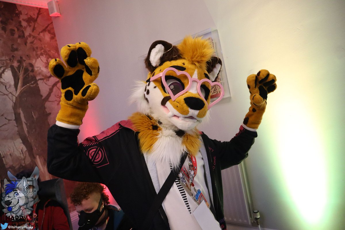 GooseberryFool's tweet image. #fursuitfriday #fursuit turns out I do have photos from Pawsome! I just needed to actually look. Here's one from Friday night just after karaoke
🪡 @PB_Fursuits
📸 @HarryHusky
🗺️ @pawsome_uk