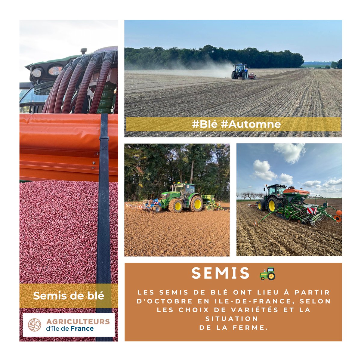 🍂Octobre🍁
🌾C'est le moment de semer du blé pour nous👩🏻‍🌾👨🏼‍🌾franciliens 🌾! Les graines semées vont se développer jusqu’à l’été prochain où elles seront récoltées🚜 par vos 👩🏻‍🌾&amp;👨🏼‍🌾. Une fois levé, le blé stoppera sa croissance pendant l’hiver ❄️ avant de se développer au printemps🌼