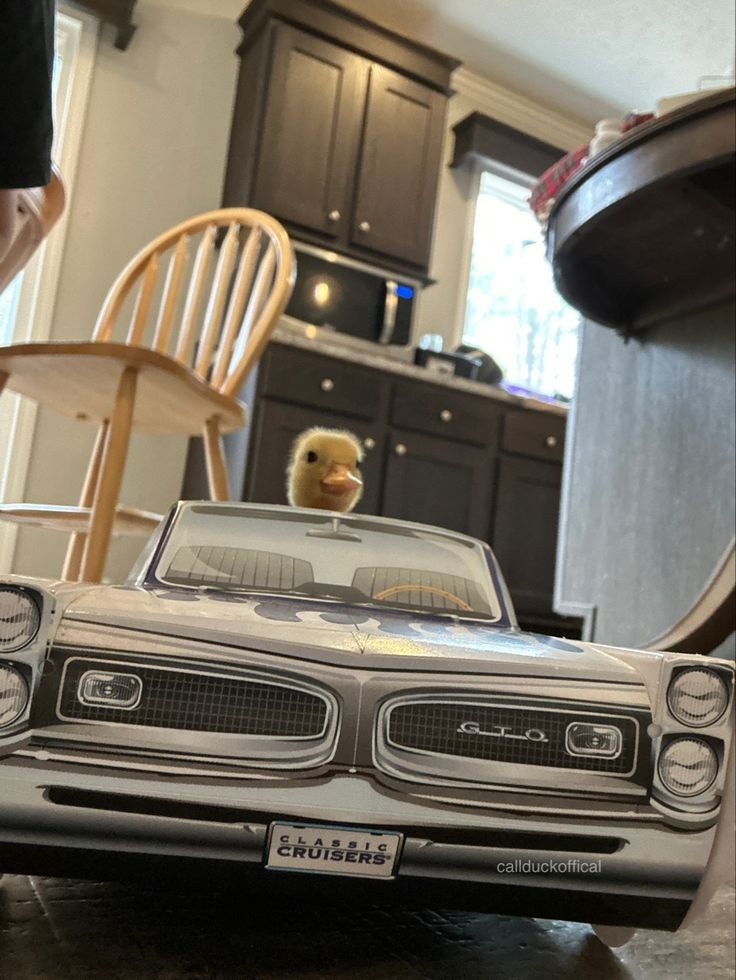 𝑮𝐈𝐀𝐍𝐃𝐑𝐀. tweet media