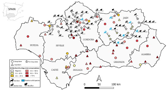 Our new paper is out "Seroepidemiology of Coxiella burnetii in Domestic and Wild Ruminant Species in Southern Spain" 🐑🐐🦌🔬<a href="/ENZOEM_UCO/">ENZOEM</a> <a href="/Univcordoba/">Universidad Córdoba</a> <a href="/VeterinariaUCO/">Facultad de Veterinaria UCO</a> <a href="/IMIBIC/">IMIBIC</a> ⬇️

n9.cl/y6lah