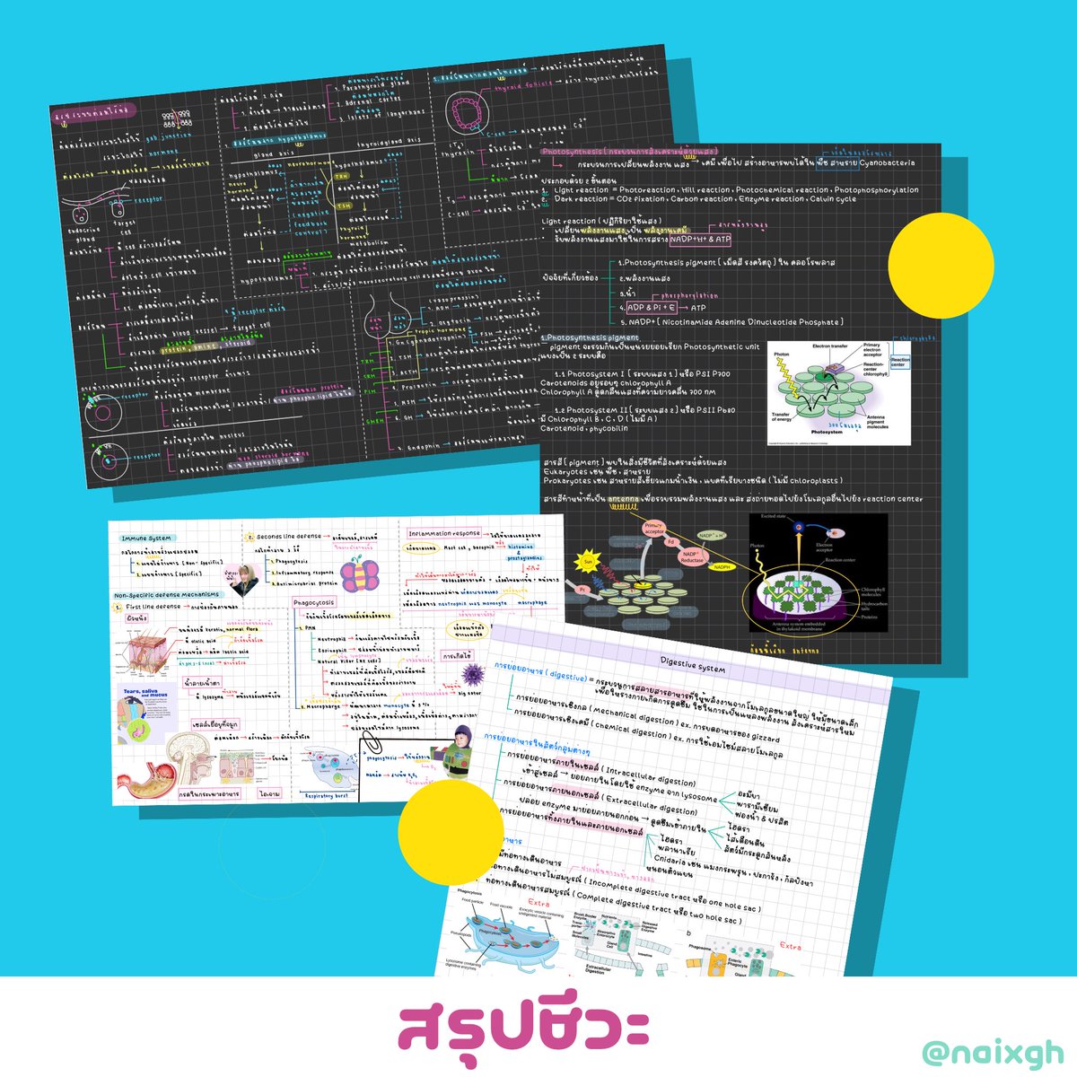 naixgh's tweet photo. ✿ Hello แจกๆๆสรุป Biology คับผม 🍇🫐 ไว้ให้เพื่อน dek68 หรือน้องๆ ไว้อ่านสอบที่รร.ได้นะคับ 

* บางบทเราอาจจาไม่ได้สรุปนะค้าบ บางบทเรารส.อ่านเฉยๆแล้วเข้าใจกว่า 🥺
Link in mentions ೀ 🍨 ‧ ˚ 🎀 ⊹
#dek68 #วันนี้dek68ทำอะไร https://t.co/e0hqhAAcW1