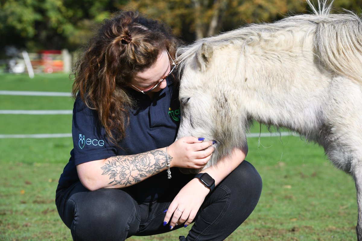 ECG_Sammy's tweet photo. Me and this beautiful pony share such a strong connection 🥰 

@wemakewell https://t.co/AuD17Un3Sl
