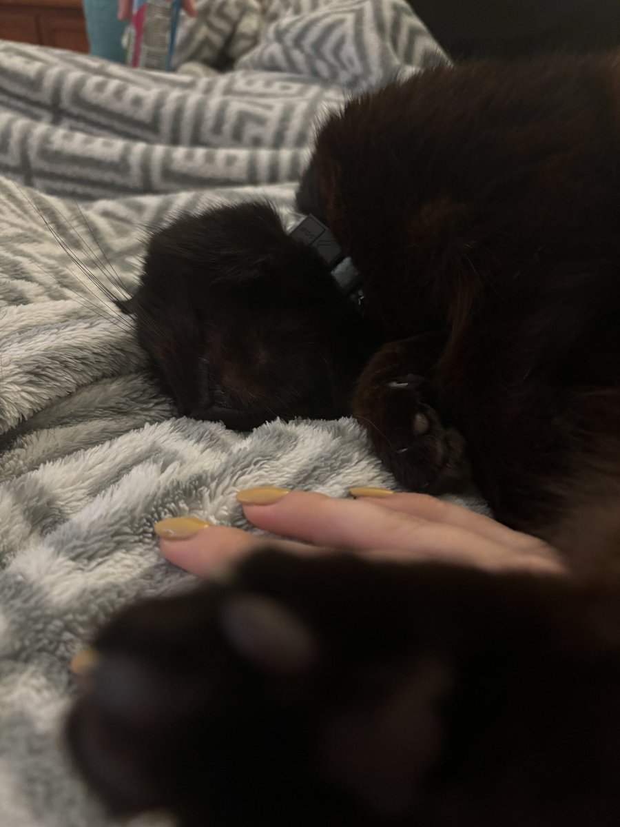 jenn (loud) tweet media