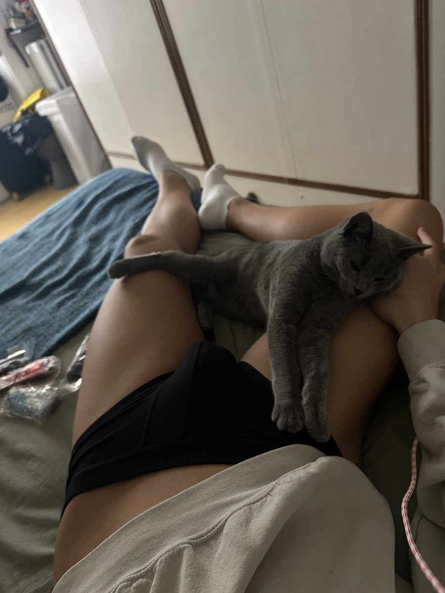 Alepontebridge's tweet photo. l’amore della mia vita https://t.co/KtVuUPNt3c