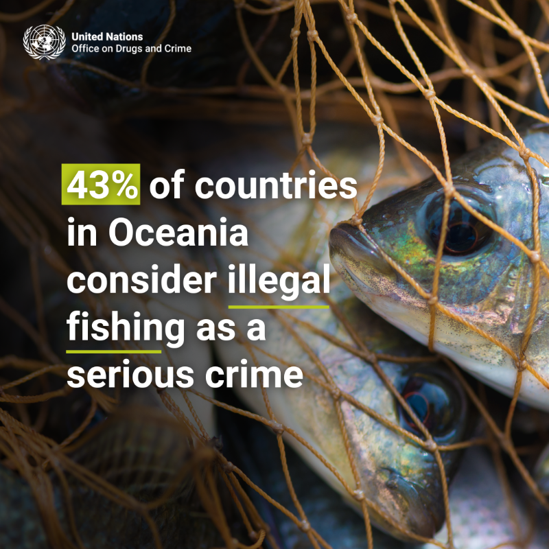 UNODC's tweet photo. Landscape and biodiversity vary in each country, affecting the level of environmental protection.

While some prioritize oceans, only 2% of European countries consider fishing-related offenses serious crimes. 

Learn more⬇️#endENVcrime