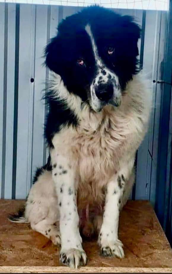 Adrian Tilsed tweet media