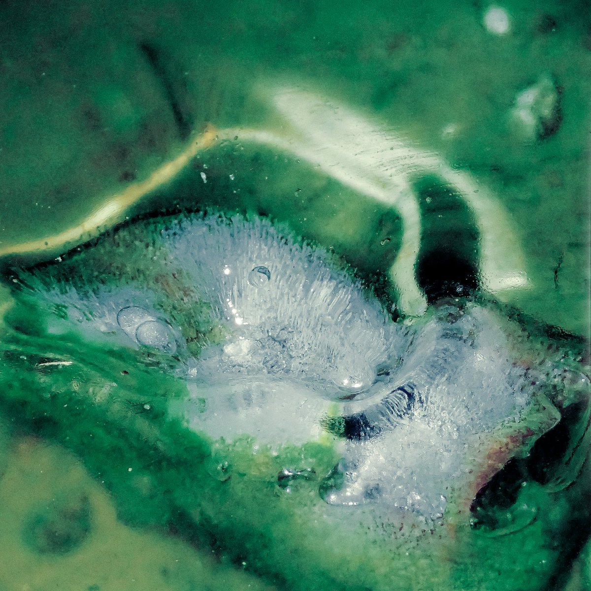 Wisdom Teeth tweet media