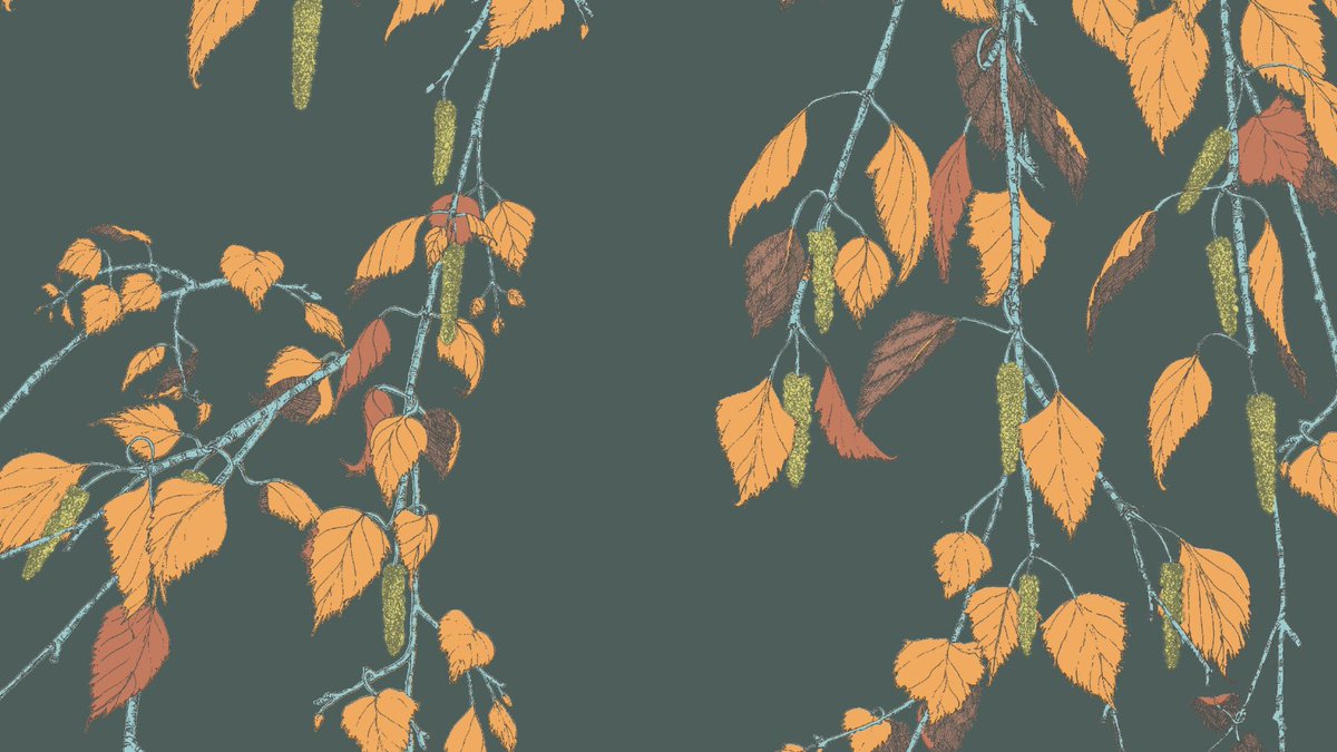 🍂 Embrace autumn with KACHURA 🍂

In warm yellows and browns, Kachura brings the serene beauty of birch trees and the charm of Shangri-La indoors. Perfect for cozy, elegant spaces. 🍁

Order your sample and see Muraspec’s year-round wallcovering magic!

#AutumnInteriors