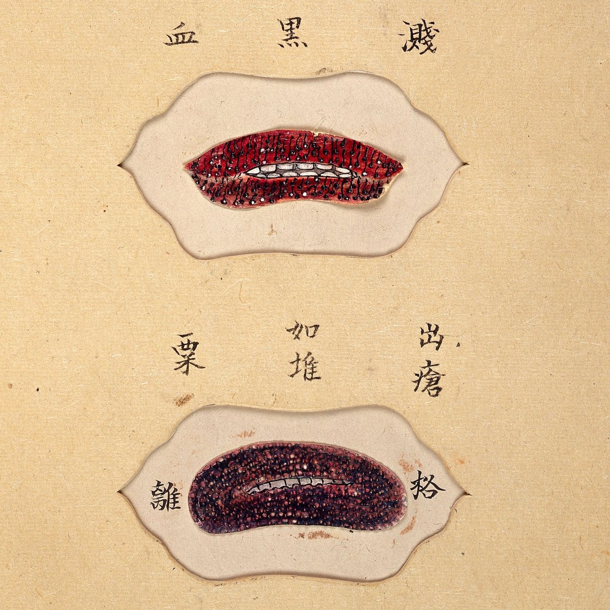ExploreWellcome's tweet photo. Credit: MS Japanese 94, Ikeda Zuisen, Wellcome 
Collection.

https://t.co/QEfNhBUUYG

#BurtsBees https://t.co/qfClOn0CRk