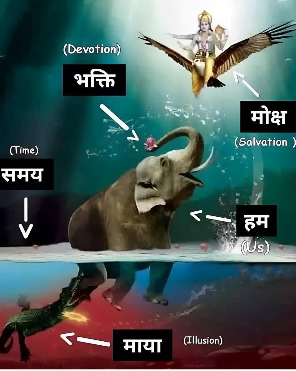 TempleBeauty_'s tweet photo. We are like the elephant trapped by the crocodile of Maya (Illusion). 

Only through Bhakti (Devotion) and the grace of time, can we rise towards Moksha (Salvation). 

May we find the strength to break free from the illusions and reach the divine. https://t.co/1tKHQkKgml