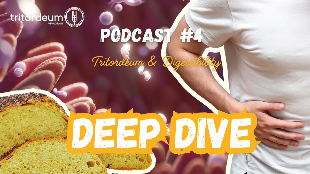 🎙️ Exciting News! 🎙️

Our brand new DEEP DIVE Podcasts are now live on YouTube and Spotify! 🎧🌾

🎬 First 4 episodes: 1️⃣ Tritordeum as a crop 🌱 2️⃣ Tritordeum malt for brewing 🍻 3️⃣ Tritordeum sourdough 🍞 4️⃣ Tritordeum's digestive benefits 💪

Packed with scientific insights✨