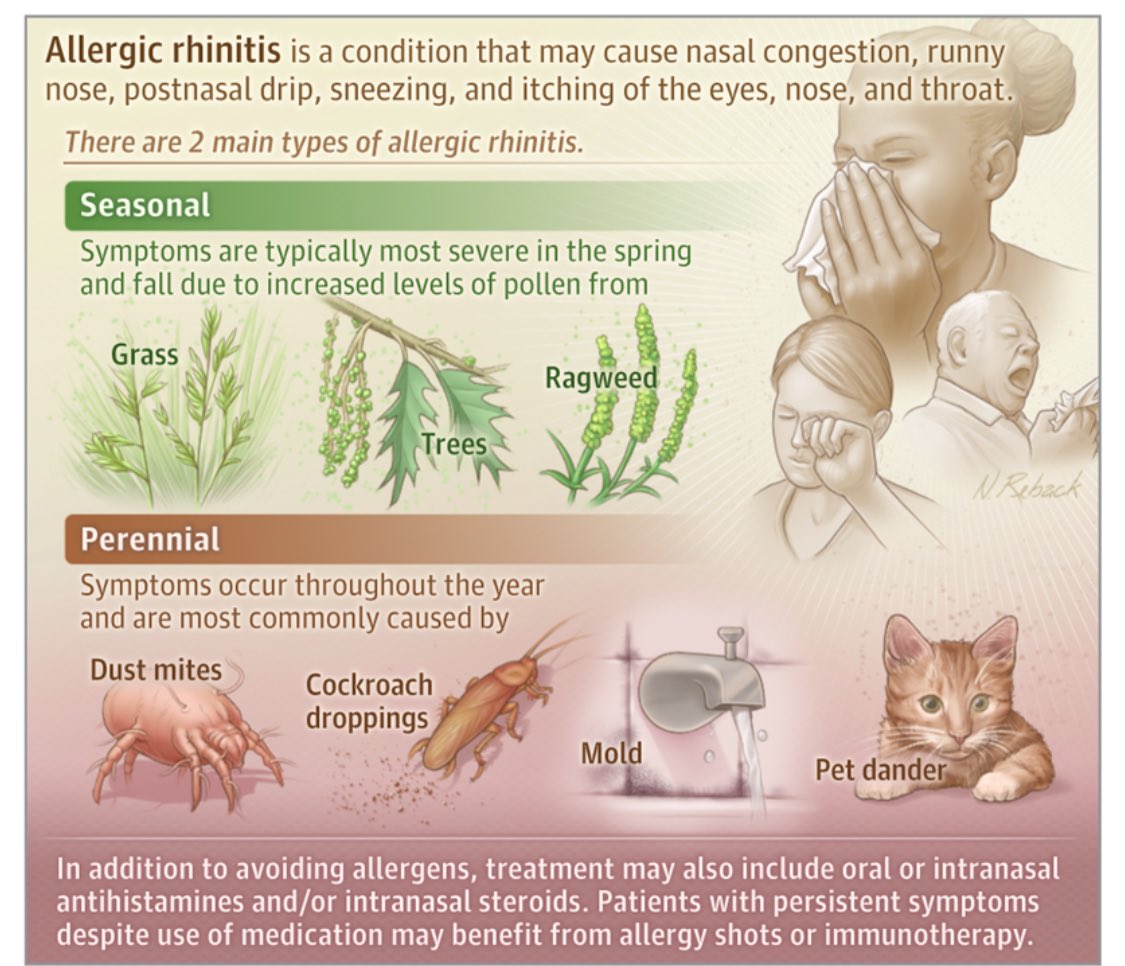 What Is Allergic Rhinitis?