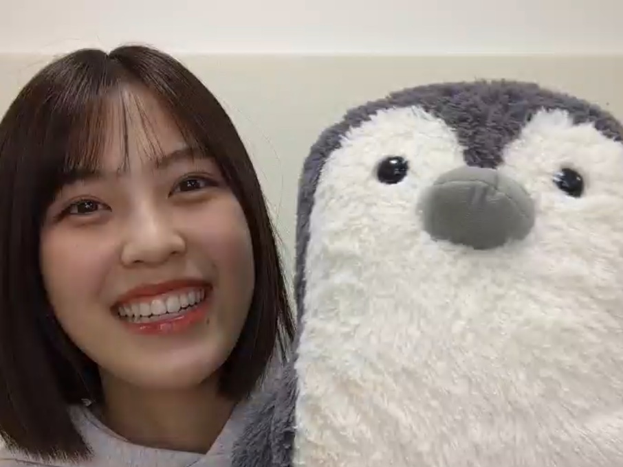kei_yunanana303's tweet photo. 俺たちは何年経ってもこのペンギンに勝てないんだ.....

#柴田柚菜 https://t.co/YFtCOEJWQE