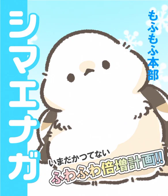 選挙が近付いてきましたね🗳️
ポスター風なシマエナガ✨ 