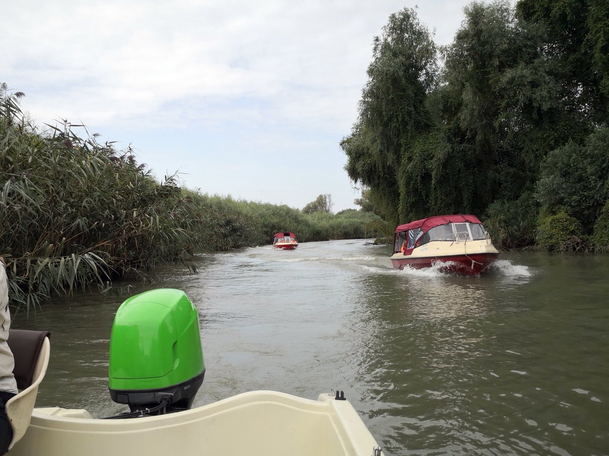 Johannes Greß (@hannesgress) on Twitter photo Warum in diesem Naturschutzgebiet so viele Boote rumfahren?
Reportage mit <a href="/McGinger666/">Christof Mackinger</a> heute 18:25 Uhr im #europajournal
<a href="/oe1journale/">Ö1 Journale</a> #donaudelta
oe1.orf.at/programm/20241… Warum in diesem Naturschutzgebiet so viele Boote rumfahren?
Reportage mit <a href="/McGinger666/">Christof Mackinger</a> heute 18:25 Uhr im #europajournal
<a href="/oe1journale/">Ö1 Journale</a> #donaudelta
oe1.orf.at/programm/20241…