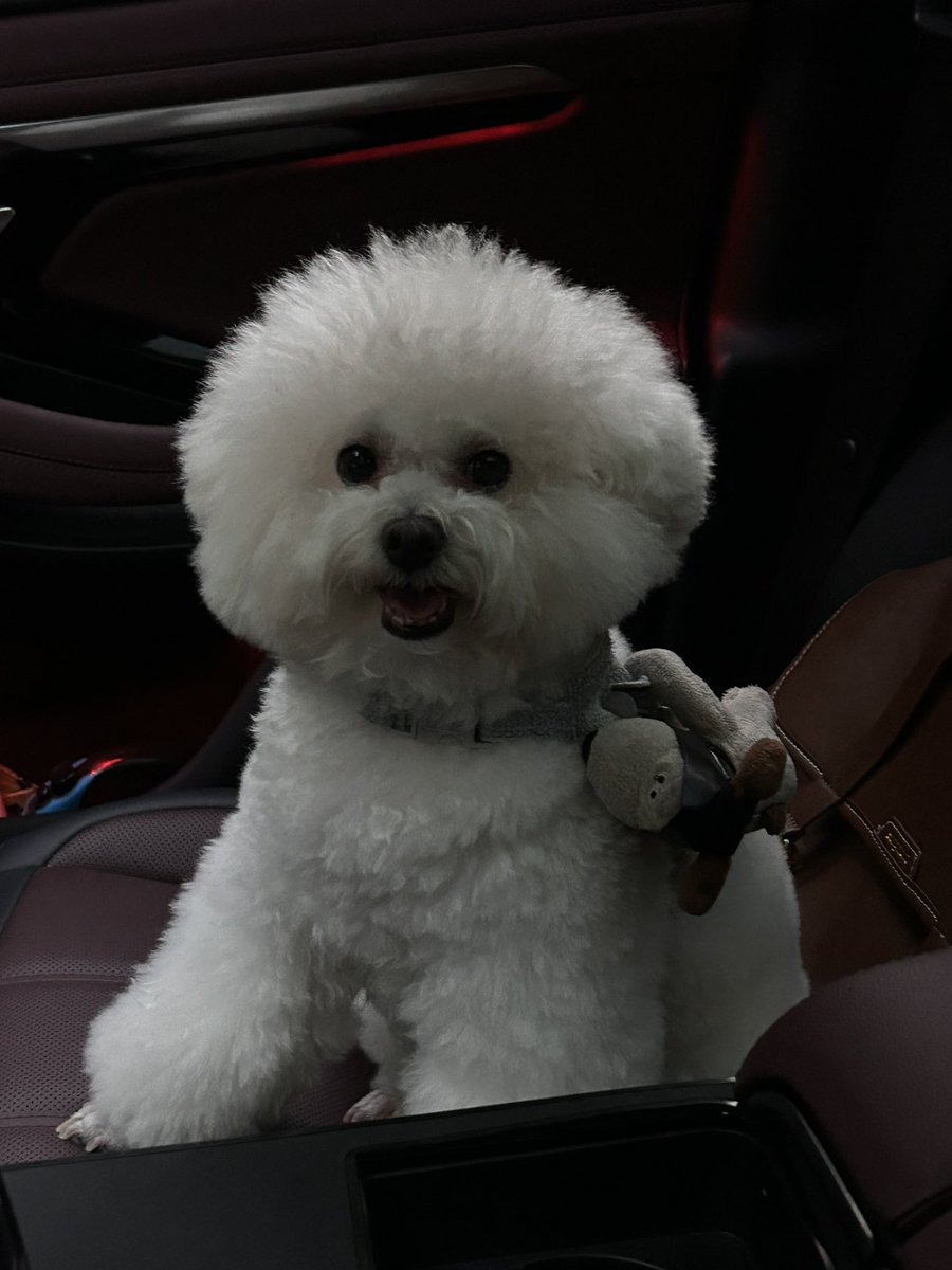 抽4份币安大礼包周边

｜关注 <a href="/binancezh/">币安Binance华语</a> ➕ <a href="/freeze9898/">付付</a> 
｜❤️ RT
｜随意留言

10月29号开.