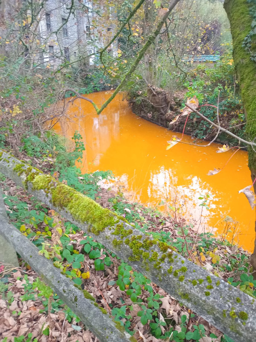 Calder Rivers Trust (@rivercalder) on Twitter photo We're aware of a pollution event on the Calder between Todmorden and Hebden Bridge. The incident was reported to <a href="/EnvAgencyYNE/">Environment Agency - Yorkshire & North East</a> yesterday afternoon but is still present. This comes the day after <a href="/Calderdale/">Calderdale Council</a> Council's Scrutiny Review of Pollution in the River Calder. We're aware of a pollution event on the Calder between Todmorden and Hebden Bridge. The incident was reported to <a href="/EnvAgencyYNE/">Environment Agency - Yorkshire & North East</a> yesterday afternoon but is still present. This comes the day after <a href="/Calderdale/">Calderdale Council</a> Council's Scrutiny Review of Pollution in the River Calder.
