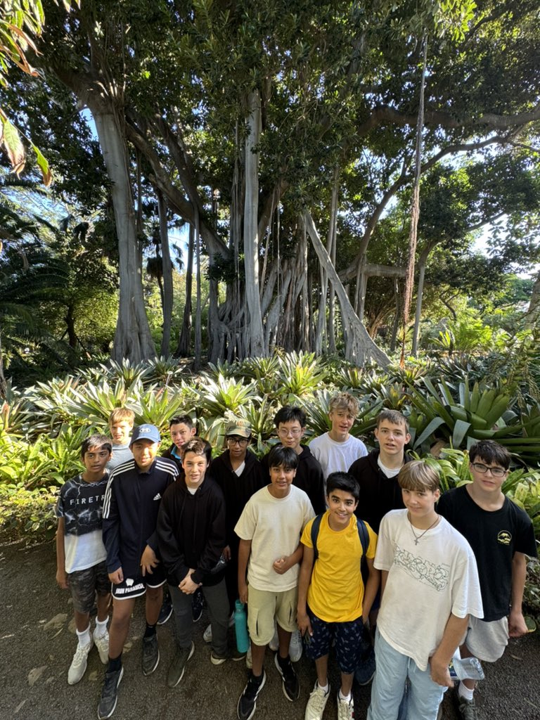 HamptonGeog's tweet photo. We have visited the botanical gardens at Puerto De La Cruz this morning and looked at the amazing adaptations of the plants grown there! https://t.co/IgV5qV9ekd