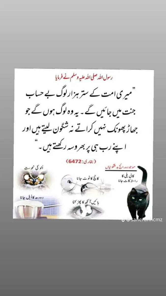 amna sohaib tweet media