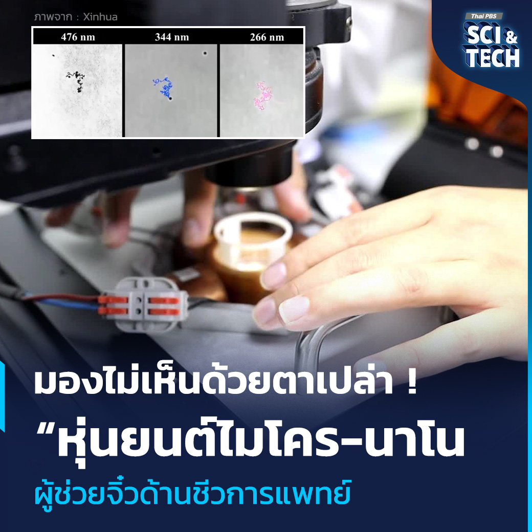 ThaiPBSSciTech's tweet photo. มองไม่เห็นด้วยตาเปล่า ! “หุ่นยนต์ไมโคร-นาโน” ผู้ช่วยจิ๋วด้านชีวการแพทย์

#หุ่นยนต์ไมโครนาโน (#MicroNanoRobots) เป็น #หุ่นยนต์ ขนาดเล็กจิ๋วที่สามารถช่วยเหลือมนุษย์ในภารกิจอันตรายและต้องอาศัยความแม่นยำบางอย่างได้ ซึ่งนักวิทยาศาสตร์มองว่าหุ่นยนต์ประเภทนี้มีอนาคตที่สดใสในสาขา #ชีวการแพทย์

📌อ่านต่อ : https://t.co/U9aUP5FFGi

“รอบรู้ ดูกระแส ก้าวทันโลก” ไปกับ #ThaiPBSSciAndTech #ThaiPBSNOW #ThaiPBS