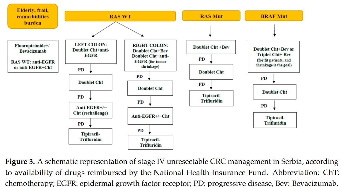 Two Decades of Progress in Personalized Medicine of Colorectal Cancer in Serbia—Insights from the Institute for Oncology and Radiology of Serbia
mdpi.com/2987820 

<a href="/CavicMilena/">Milena Cavic</a> <a href="/Analivewithsoul/">Ana Damjanovic</a> <a href="/miljana_21/">Miljana Tanic</a> <a href="/MarkoNaOpako/">marko radulovic</a> <a href="/astefanovic496/">Aleksandra Stanojević</a> <a href="/marija_djordjic/">Marija Đorđić Crnogorac</a> <a href="/anadjuric80/">Ana Djuric</a>