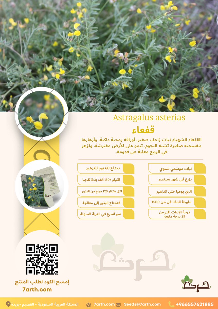7arthSA's tweet photo. https://t.co/UpURkNhT2y