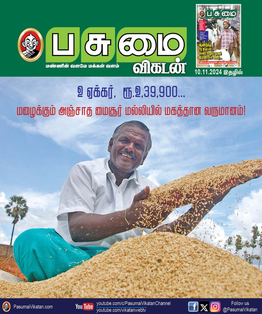 PasumaiVikatan's tweet image. 2 ஏக்கர், ரூ.2,39,900... மழைக்கும் அஞ்சாத மைசூர் மல்லியில் மகத்தான வருமானம்!
bit.ly/3Uj6pbK

#PaddyCultivation | #Agriculture | #Farming | #Rain