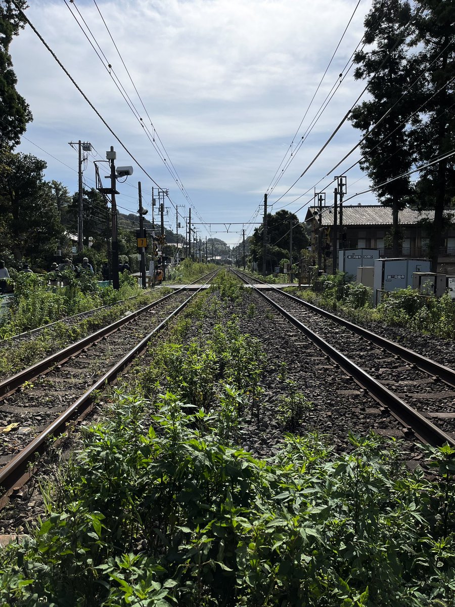 aldantrex's tweet photo. No tengo palabras para expresar lo que ha sido el viaje a Japón 🥹 https://t.co/E9No4tGkn4