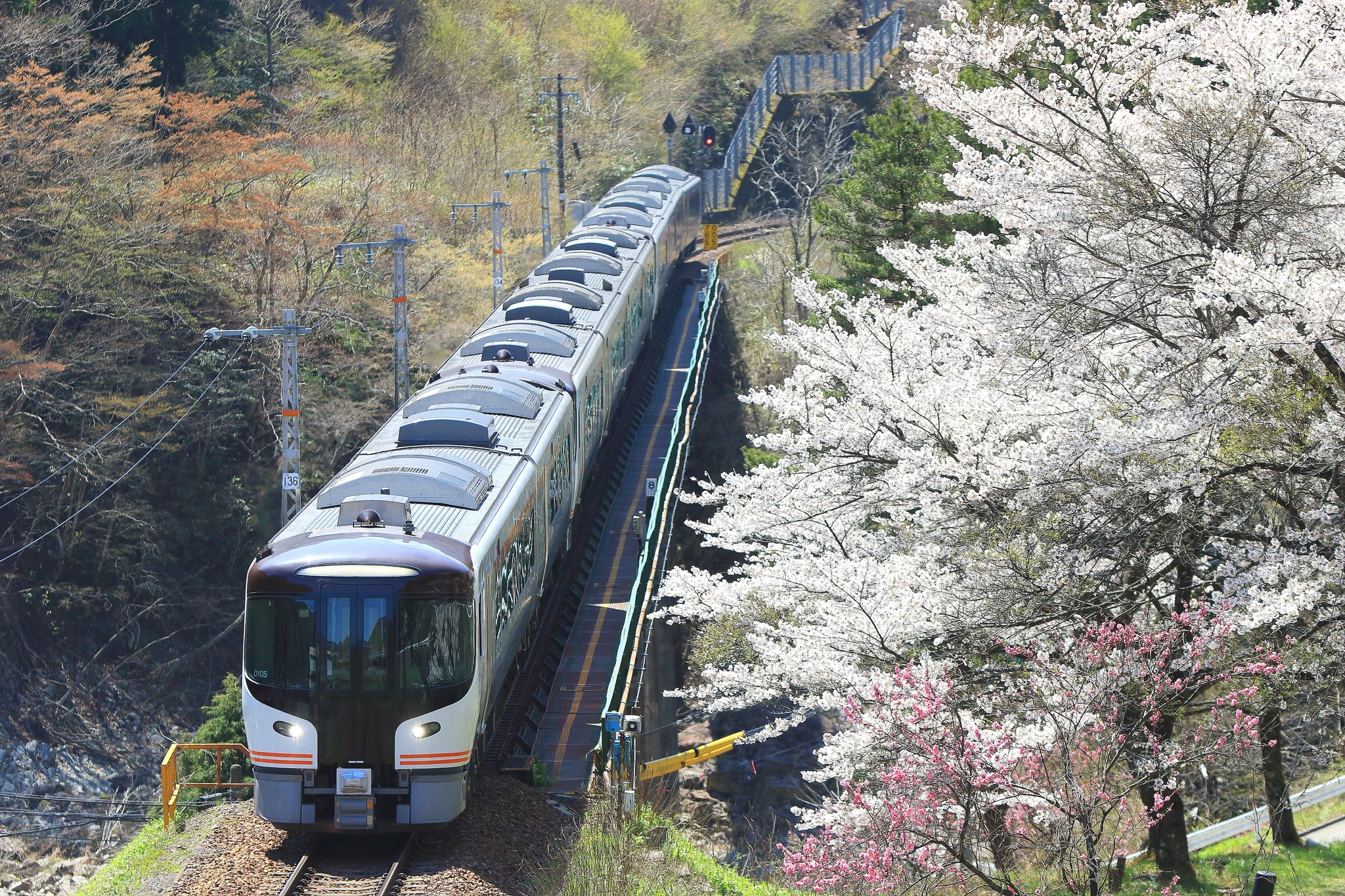 ジャンク　キハ85系5両➕1両おまけ TOMIX】 98555 JR HC85系ハイブリッド車(ひだ)セット - 仙台模型