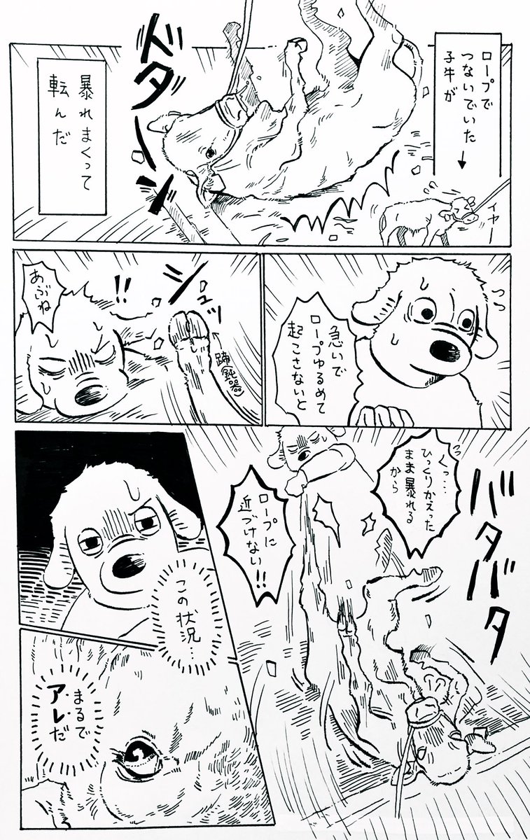 『ひっくり返った子牛と動けなかった人間』

わかる人にだけわかってほしい落書きです…

※この後10秒ぐらいで子牛は自力で起き上がってくれました。 
