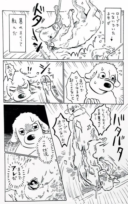 『ひっくり返った子牛と動けなかった人間』

わかる人にだけわかってほしい落書きです…

※この後10秒ぐらいで子牛は自力で起き上がってくれました。 
