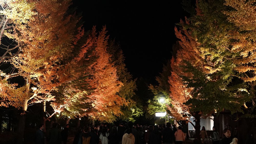 北海道電力ネットワーク株式会社 tweet media