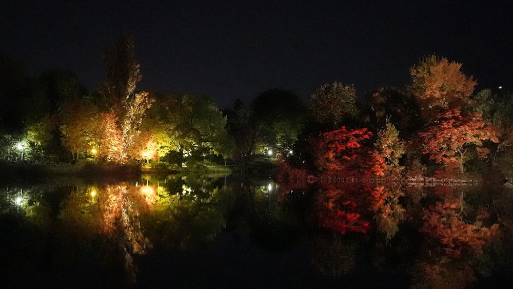 北海道電力ネットワーク株式会社 tweet media