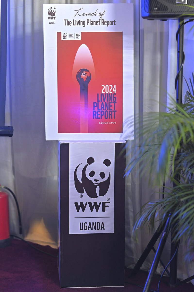 Nabukeera Doreen (@nabukeeradoree2) on Twitter photo We need to take transformative actions so it's time to redirect global finance away from destruction and towards restoration! £5 trillion is flowing into activities harming nature. Let’s invest in the future of our planet. #LPReportUG <a href="/WWFUganda/">WWF Uganda</a> We need to take transformative actions so it's time to redirect global finance away from destruction and towards restoration! £5 trillion is flowing into activities harming nature. Let’s invest in the future of our planet. #LPReportUG <a href="/WWFUganda/">WWF Uganda</a>
