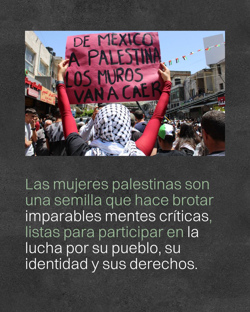Paz con Dignidad tweet media