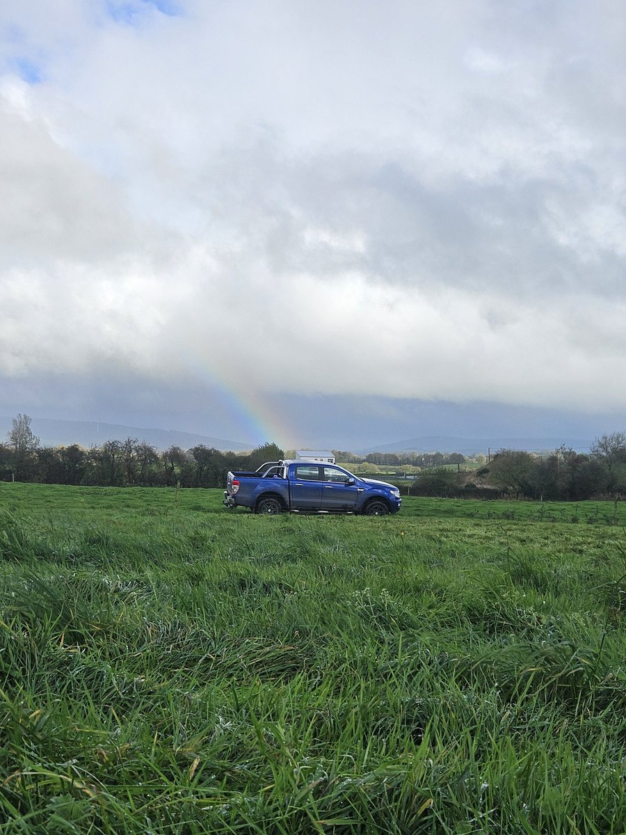 Is it worth a pot of gold or going to cost it