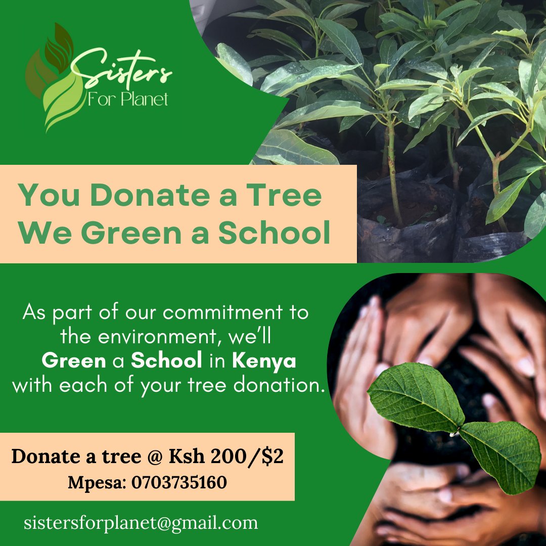 Sisters4planet's tweet photo. Join us in #greeningschools by donating a tree. https://t.co/aDc3IcpMHU