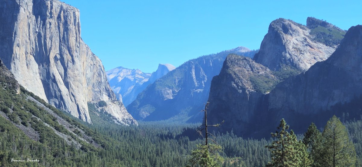 Shoi NFT ( Free NFT Promoter ) Lifetime FREE (@shoi_nft) on Twitter photo Collection Name - Tunnel View II
Creator - @Brooksgallery1 
Link - exchange.art/editions/DYXrh…
- DM me for free Promotions Collection Name - Tunnel View II
Creator - @Brooksgallery1 
Link - exchange.art/editions/DYXrh…
- DM me for free Promotions