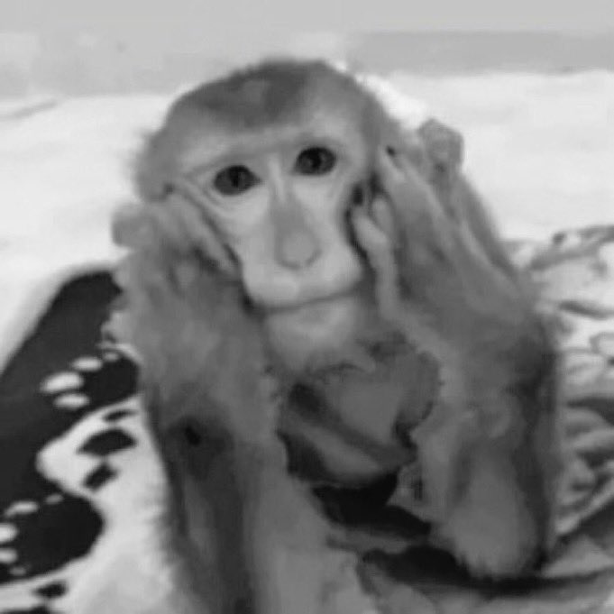 Luísa Sonza Spotify tweet media