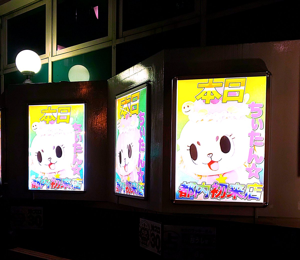 きのう偶然、何か見た👀