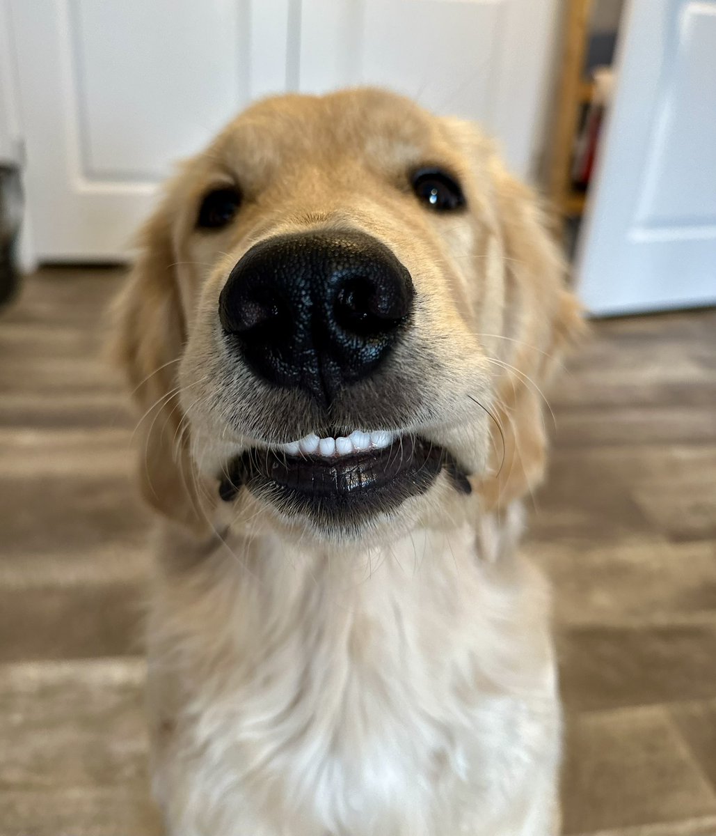 🇨🇦Lynn & Murphy of the North🇨🇦 tweet media