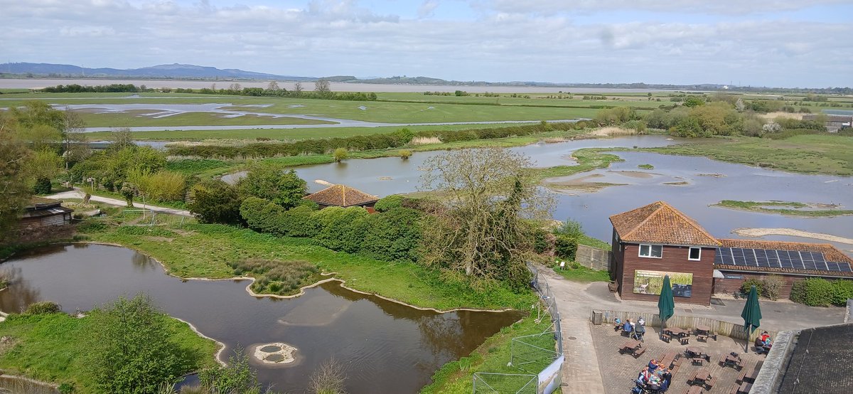 IN FOCUS OPTICS Event this Sunday at Slimbridge Village Hall  10 till 3 <a href="/bristolbirding/">BristolBirding</a> @Southglosbirds <a href="/WWTSlimbridge/">WWT Slimbridge</a>  for further info call Keith 01225 891352 <a href="/opticronuk/">Opticron</a> <a href="/SwarovskiOptik/">SWAROVSKI OPTIK</a> <a href="/ZEISSBirding/">ZEISS Birding</a> <a href="/hawkeoptics/">Hawke Optics</a> <a href="/VortexOpticsUK/">Vortex Optics UK</a>