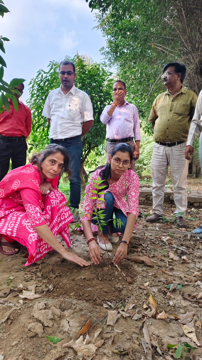 CBCLucknow's tweet image. स्वच्छता ही सेवा स्पेशल कैंपेन 4.0 के तहत केंद्रीय संचार ब्यूरो, लखनऊ के द्वारा एक पेड़ मां के नाम अभियान में वृक्षारोपण, कार्यालय में स्वच्छता अभियान और पुराने अनुपयोगी रिकॉर्ड का नियमानुसार निस्तारण। कुछ दृश्य👇🏻