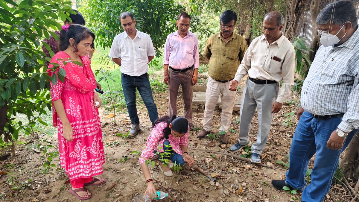 CBCLucknow's tweet image. स्वच्छता ही सेवा स्पेशल कैंपेन 4.0 के तहत केंद्रीय संचार ब्यूरो, लखनऊ के द्वारा एक पेड़ मां के नाम अभियान में वृक्षारोपण, कार्यालय में स्वच्छता अभियान और पुराने अनुपयोगी रिकॉर्ड का नियमानुसार निस्तारण। कुछ दृश्य👇🏻