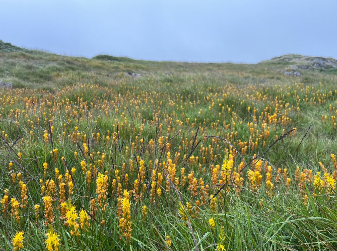 Joshua Styles tweet media