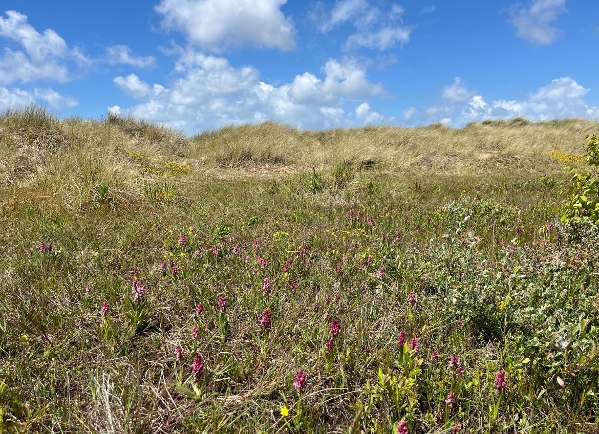 Joshua Styles tweet media