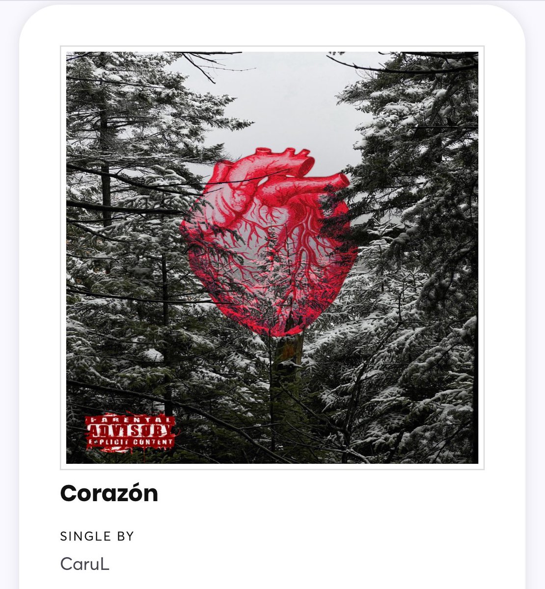 CaruL🌴 tweet media