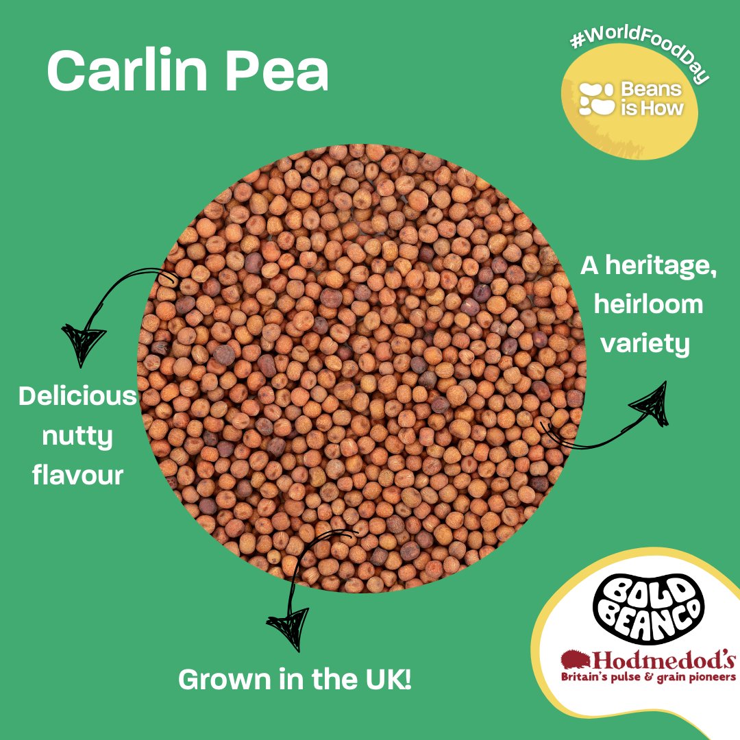 Rajma Kidney Bean Stew SDG2 Advocacy Hub rajma-kidney-bean-stew-sdg2-advocacy-hub